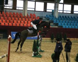 jumper Perpino (Hanoverian, 2001, from Perpignon)