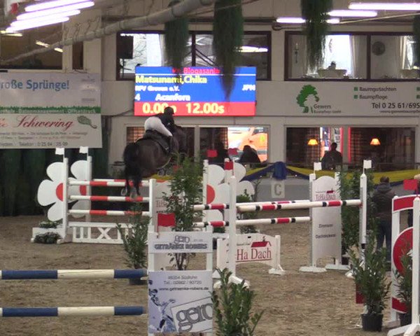 Reitturnier Vreden 2018