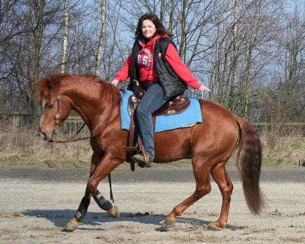 Pferd GFC Smart Oak Lena (Quarter Horse, 2005, von Smart Sugar Chic)