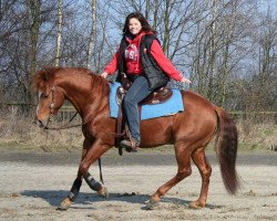 Pferd GFC Smart Oak Lena (Quarter Horse, 2005, von Smart Sugar Chic)