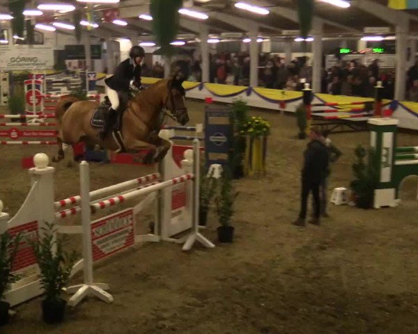 Reitturnier Vreden 2018