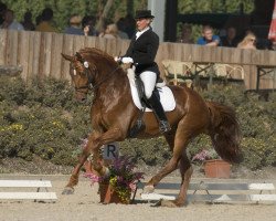 dressage horse Ribadeo 2 (Hanoverian, 2006, from Riverside)