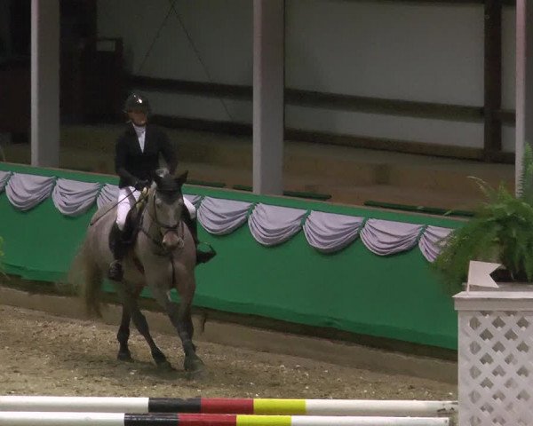Reitturnier Gahlen 2018
