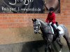 dressage horse Sietlands Grisu (German Riding Pony, 2009, from Greylight)