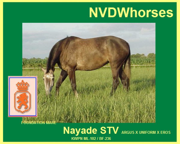 Zuchtstute NAYADE STV (Koninklijk Warmbloed Paardenstamboek Nederland (KWPN), 1995, von Argus)