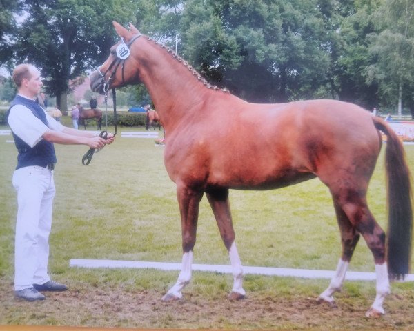 broodmare Fleur la Rouge (Trakehner, 2001, from Freudenfest)