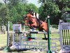 jumper Machata T (German Riding Pony, 2009, from Mentos Charmeur)