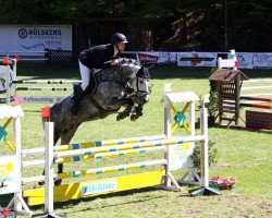 broodmare Diastakkata (Oldenburg show jumper, 2012, from Diarado)