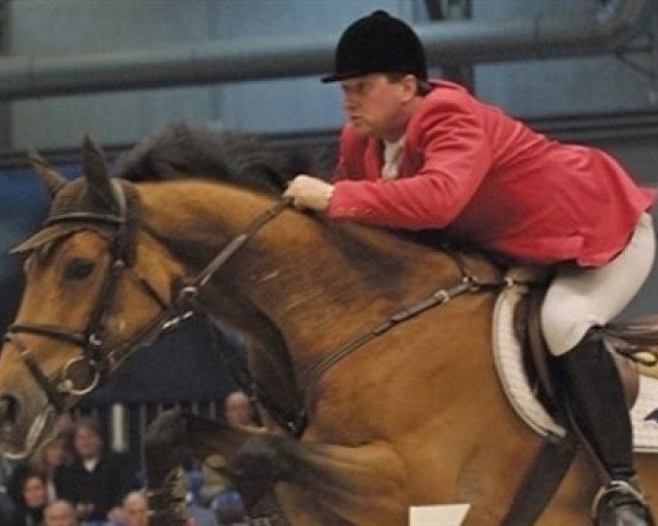 broodmare VDL Groep Roofs (Holsteiner, 1990, from Caletto I)