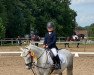 jumper Lucky-Luke 17 (Oldenburg show jumper, 2011, from Levisonn 208 FIN)