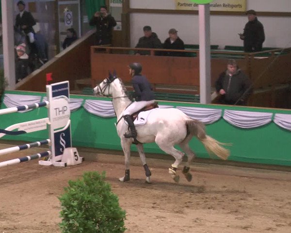 Reitturnier Gahlen 2018
