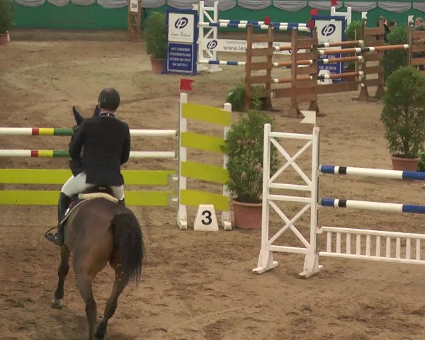 Reitturnier Gahlen 2018