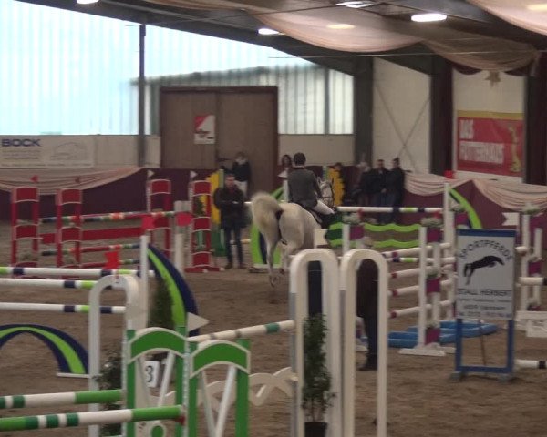 Reitturnier Eppelheim 2018