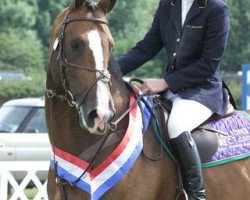 stallion Libra K (KWPN (Royal Dutch Sporthorse), 1993, from Libero H)