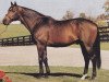 stallion Deputy Minister xx (Thoroughbred, 1979, from Vice Regent xx)