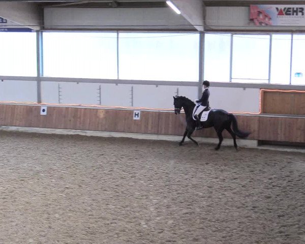 Reitturnier Südlohn-Oeding 2018