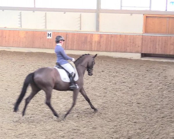Reitturnier Südlohn-Oeding 2018