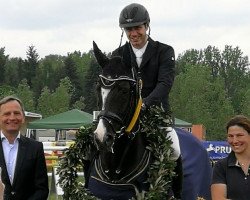 jumper Venecia 23 (Hanoverian, 2013, from Viscount 22)