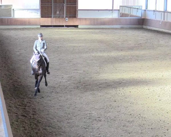 Reitturnier Südlohn-Oeding 2018