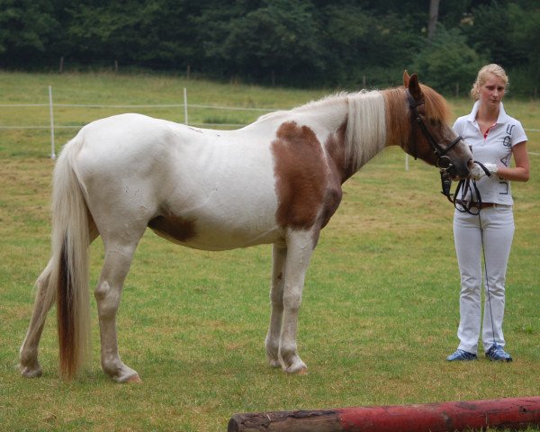 broodmare Monic (German Riding Pony, 1987, from Losander)