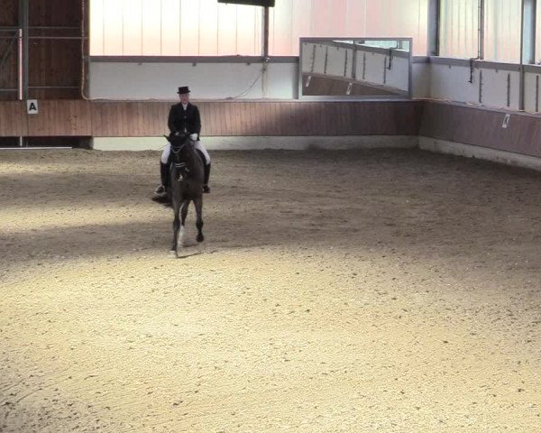 Reitturnier Südlohn-Oeding 2018