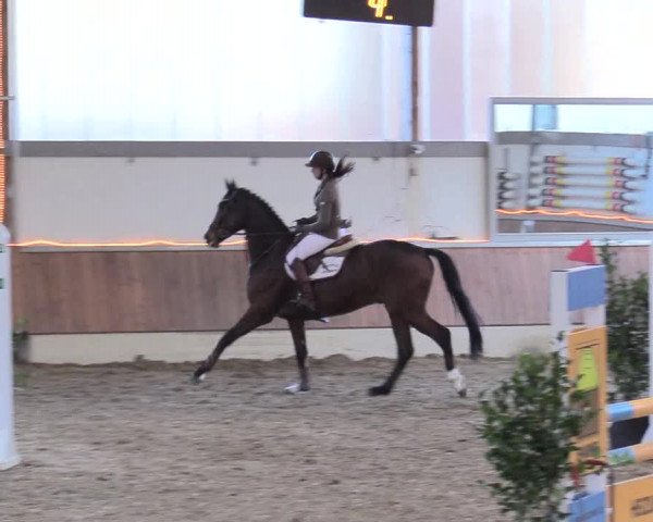 Reitturnier Südlohn-Oeding 2018