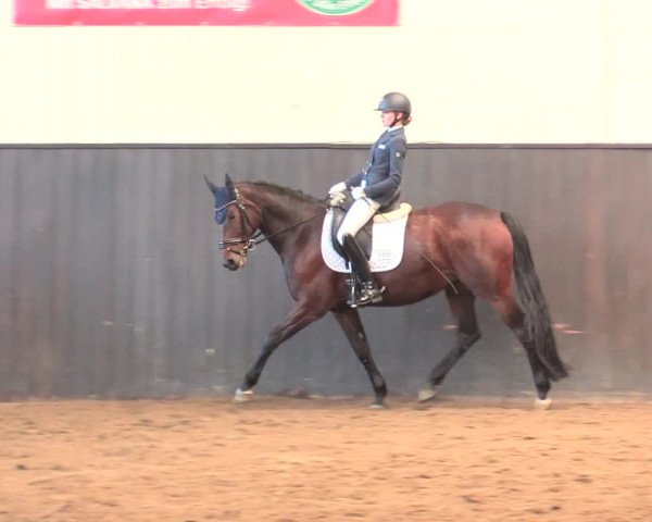 Reitturnier St. Peter Ording 2021
