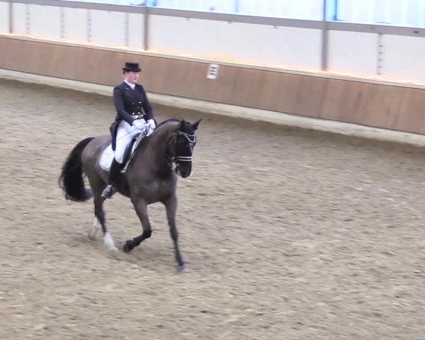 Reitturnier Südlohn-Oeding 2018