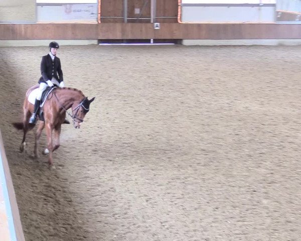 Reitturnier Südlohn-Oeding 2018
