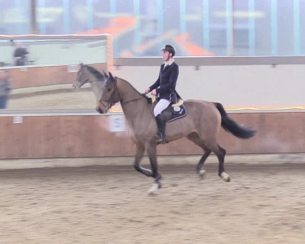Reitturnier Südlohn-Oeding 2018