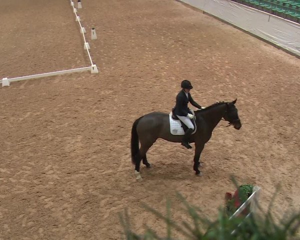 Reitturnier Kreuth 2018