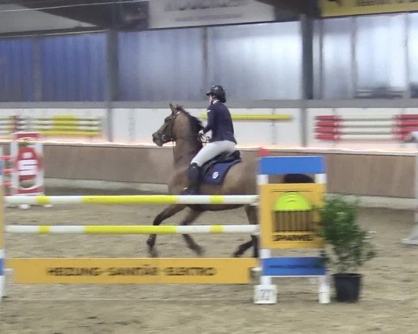 Reitturnier Südlohn-Oeding 2018