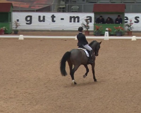 Reitturnier Kreuth 2018
