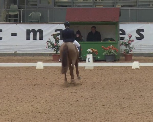 Reitturnier Kreuth 2018
