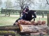 broodmare Moonlight 220 (German Riding Pony, 2000, from Black Boy)