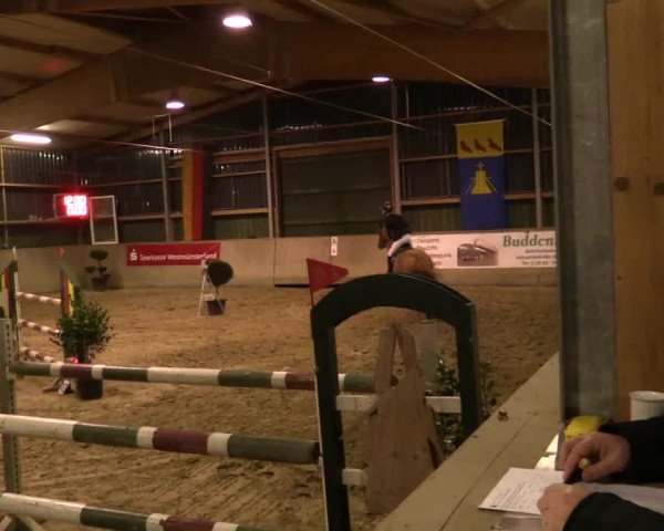 Reitturnier Velen 2018