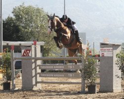 broodmare Ussaya (Belgium Sporthorse, 2004, from Ogano Sitte)