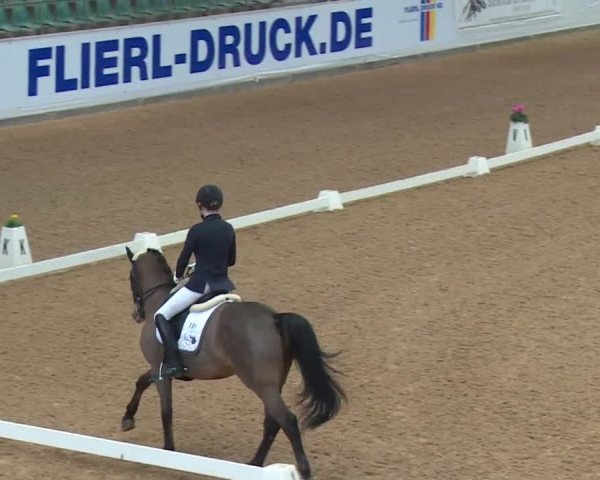 Reitturnier Kreuth 2018