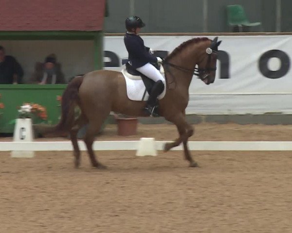 Reitturnier Kreuth 2018