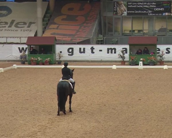 Reitturnier Kreuth 2018