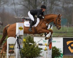 jumper Elektra D (Hanoverian, 2006, from Earl)