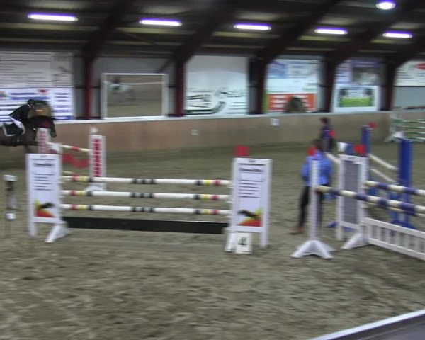 Reitturnier Behrendorf 2018
