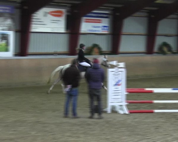 Reitturnier Behrendorf 2018
