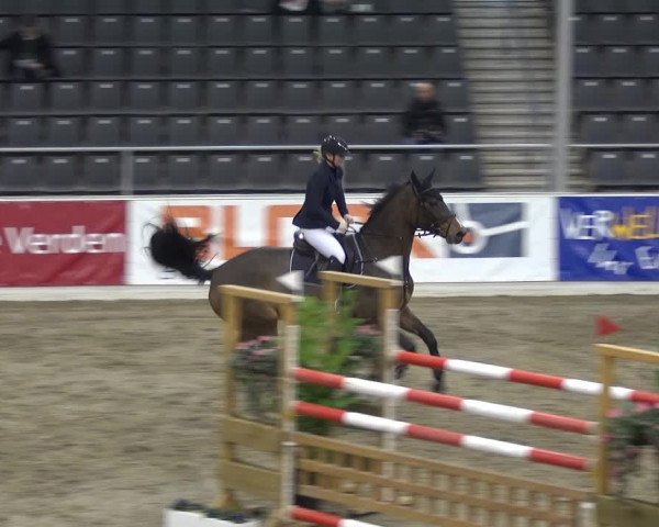 VER-Dinale 2018 - Verdener Hallenreitturnier