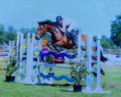 jumper Special Airline (Connemara Pony, 2011, from Streamstown Mickey)