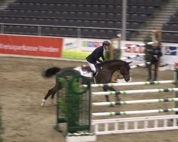 VER-Dinale 2018 - Verdener Hallenreitturnier