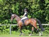 dressage horse Faylinn (Hanoverian, 2008, from Fidertanz)