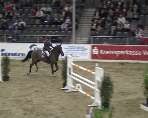 VER-Dinale 2018 - Verdener Hallenreitturnier