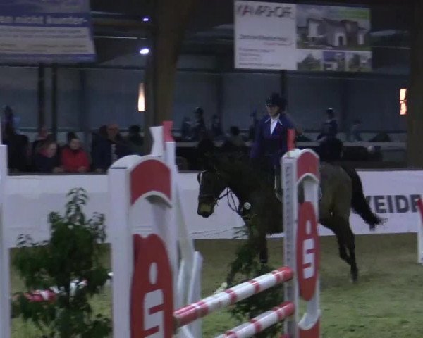 Reitturnier Barlo-Bocholt 2018