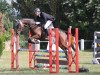 jumper Aragona (Trakehner, 2009, from Freudenfest)